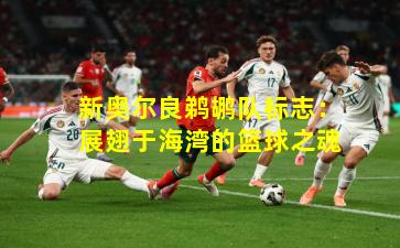 新奥尔良鹈鹕队标志:展翅于海湾的篮球之魂