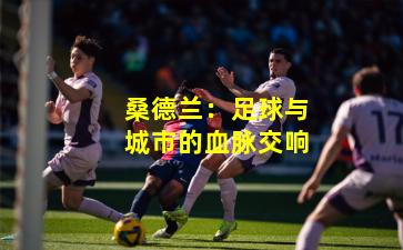 桑德兰:足球与城市的血脉交响
