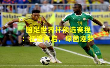 国足世界杯预选赛程：征途再启，绿茵逐梦