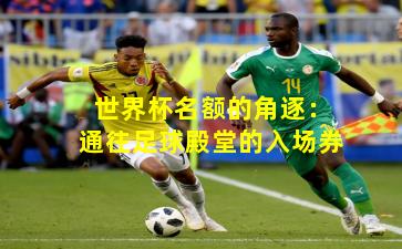 世界杯名额的角逐:通往足球殿堂的入场券