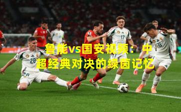 鲁能vs国安视频:中超经典对决的绿茵记忆
