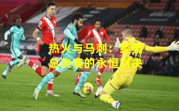 热火与马刺:经典总决赛的永恒对决