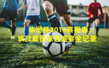 非洲杯2019赛程表：埃及夏日绿茵盛宴全记录